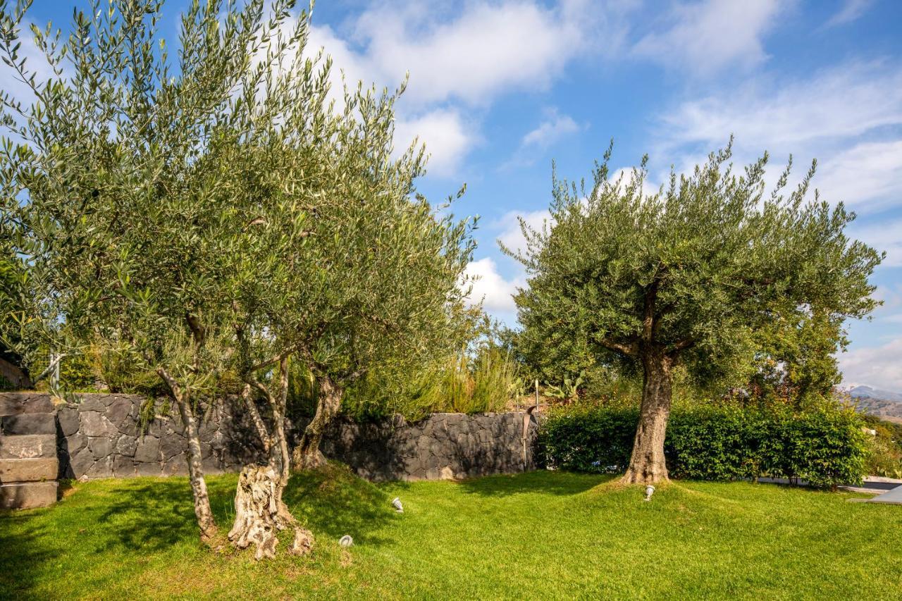 Design Villa In Piedimonte Etneo Zewnętrze zdjęcie